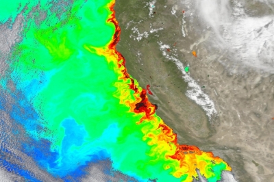 True-color corrected reflectance image overlaid with chlorophyll a concentration of the coast of California from the OCI instrument aboard the PACE satellite on 8 May 2024