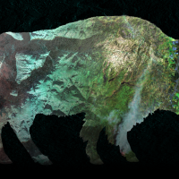 Bison silhouette representing the Department of the Interior, filled with layered satellite imagery symbolizing remote sensing and land stewardship.