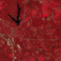 Sentinel false-color imagery embedded in the FIRMS portal makes it easier to detect healthy vegetation..