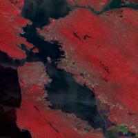 This HLS color-infrared composite image —generated via the TiTiler-CMR API in the Worldview application — shows the area around Cambridge, Maryland.