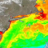 Data from the PACE satellite shows chlorophyll in the northwest Atlantic on March 29, 2026.