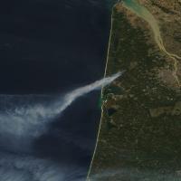 Smoke emanating from a fast moving fire on France's west coast on 23 July 2026 from the MODIS instrument aboard the Terra satellite.