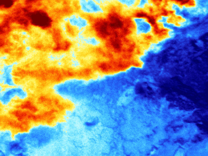 ACEPOL Polarimetry