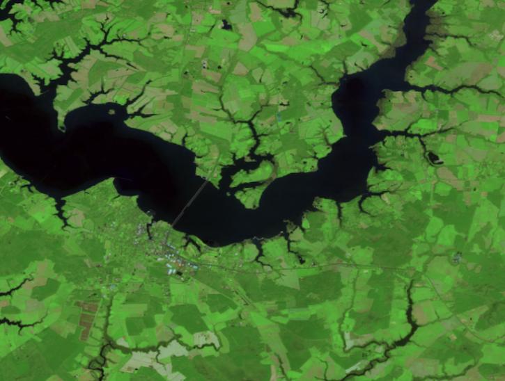 False-color Harmonized Landsat Sentinel-2 image of Cambridge, MD
