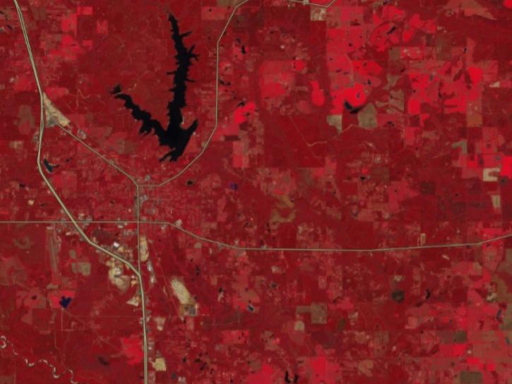 Sentinel false-color imagery embedded in the FIRMS portal makes it easier to detect healthy vegetation..