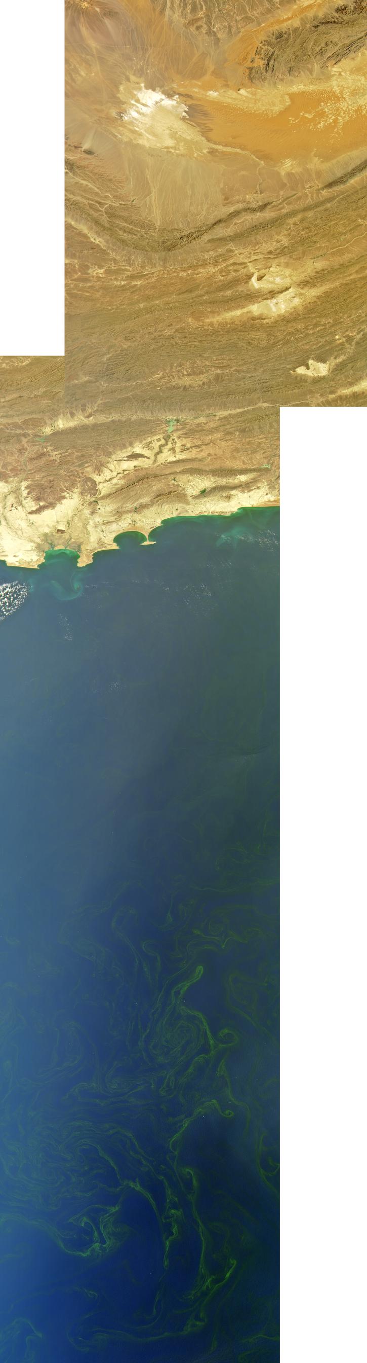 Arabian Sea