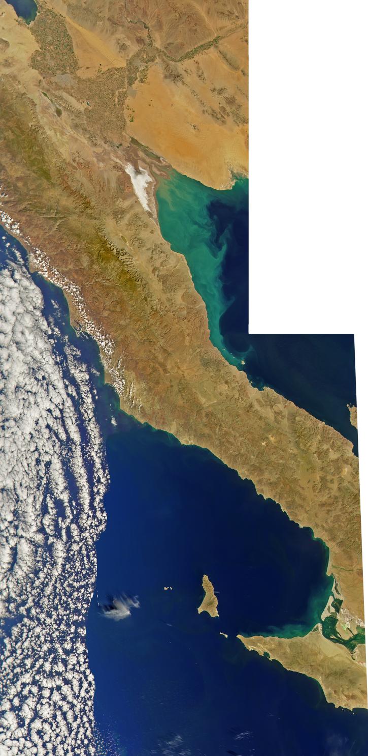 Baja California