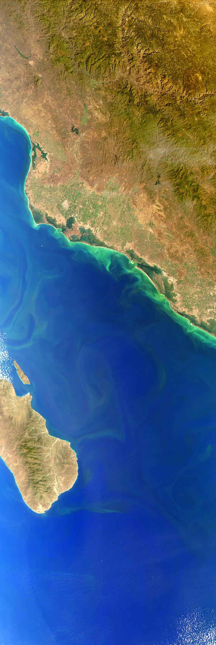 Cabo San Lucas