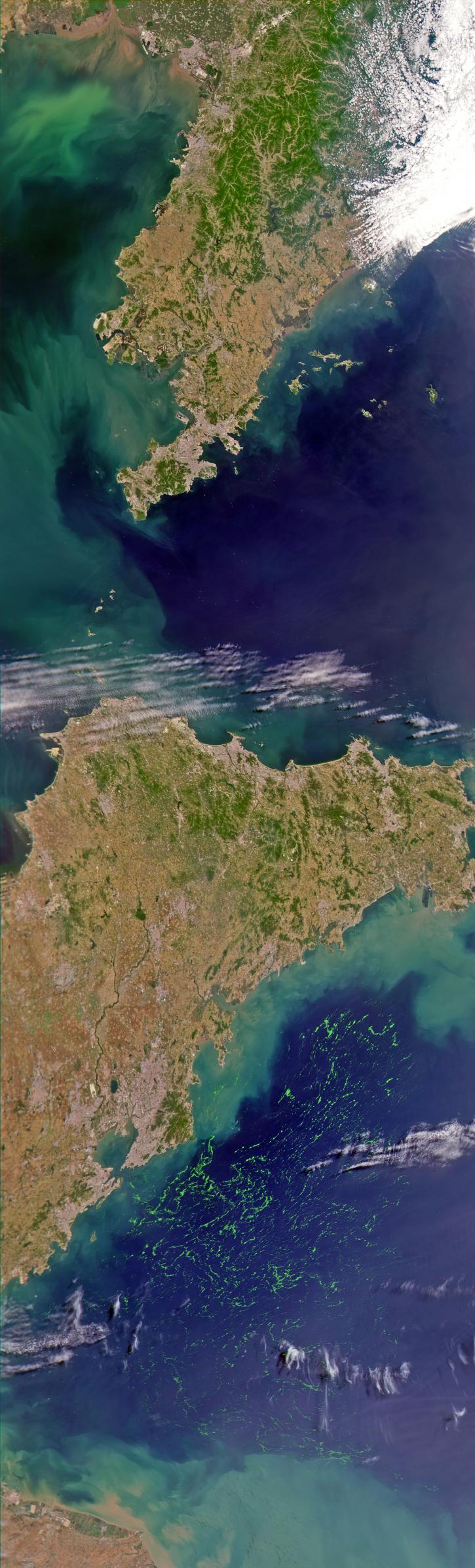 Yellow Sea Algal Slicks, Qingdao, China