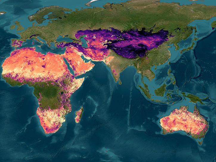 a map of Africa and Asia showing silica deposits detected by ECOSTRESS.