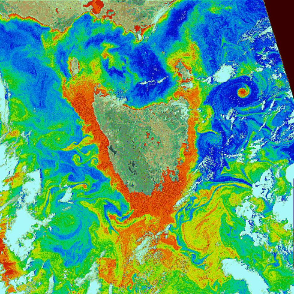 CZCS image of Tasmania