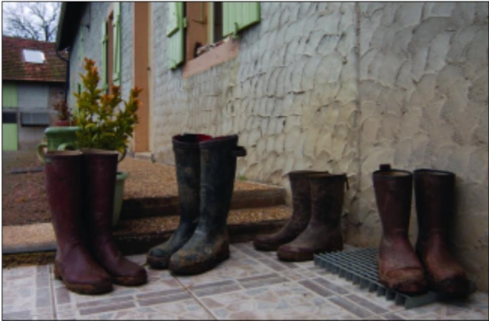 Burgundy farm boots