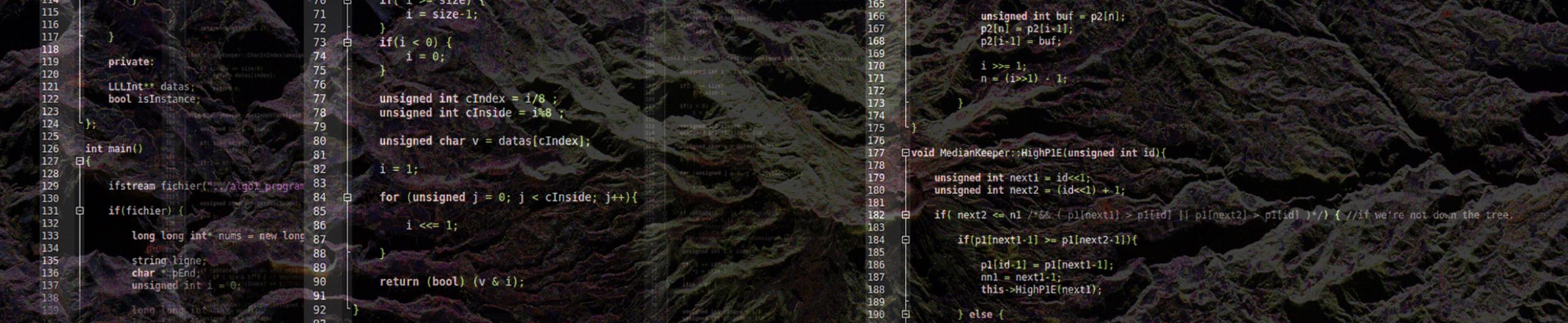 SAR land surface image with code overlay