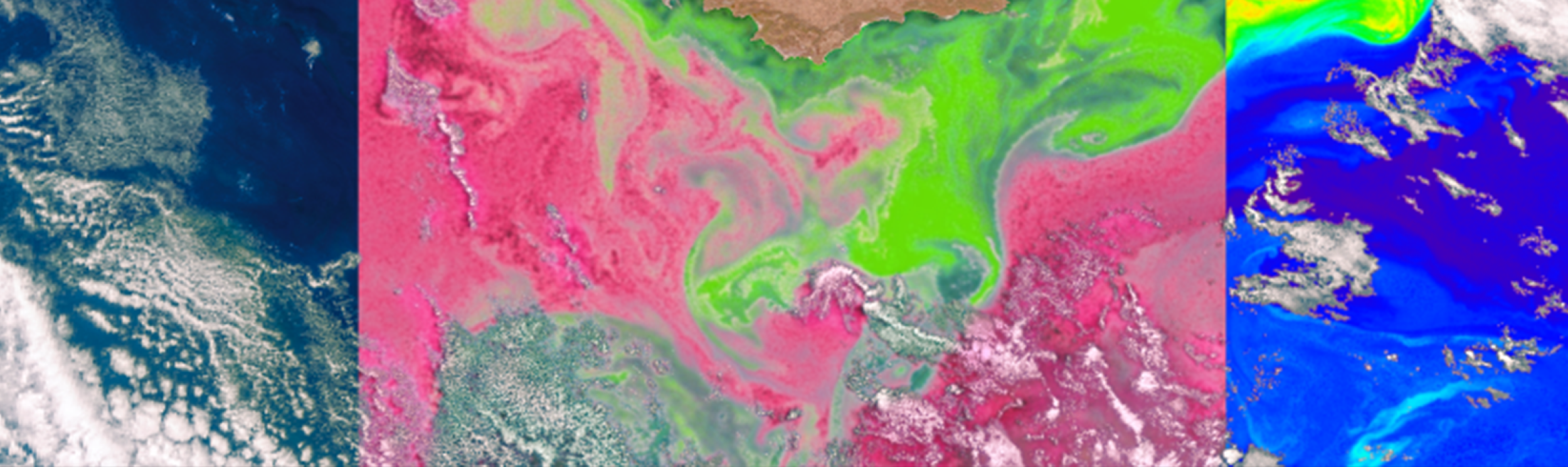 ARSET - Introduction to Plankton, Aerosol, Cloud, Ocean Ecosystem (PACE) Hyperspectral Observations for Water Quality Monitoring hero image