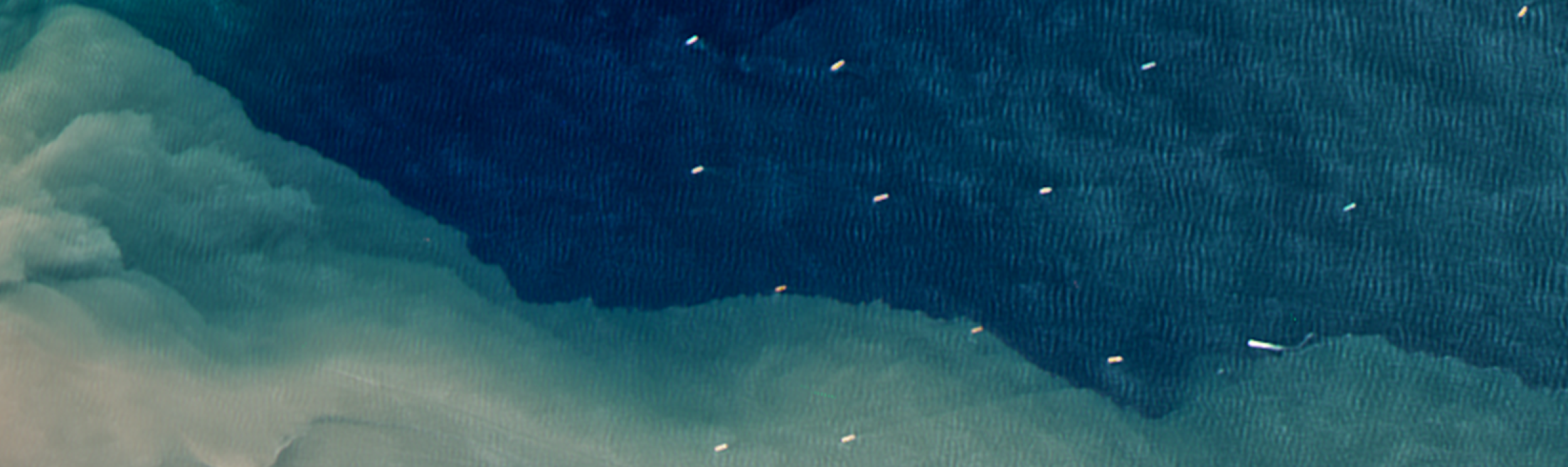 ARSET - Overview of SeaDAS 8.4.1 for the Processing, Analysis, and Visualization of Optical Remote Sensing Data for Water Quality Monitoring hero image