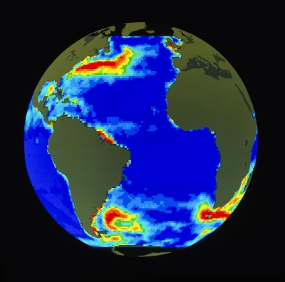 The Geosat image above shows ocean currents.