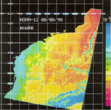 The image above shows an AVHRR satellite image of coastal upwelling in the Cabo Frio region from 13 Jan 1995