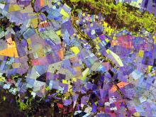 This false-color composite derived from NISAR data highlights vegetated areas (green), unvegetated surfaces (red), and how rapidly the vegetated areas changed (blue) during the 2025-2026 growing season in an agricultural region of South Africa. 