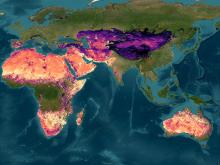 a map of Africa and Asia showing silica deposits detected by ECOSTRESS.