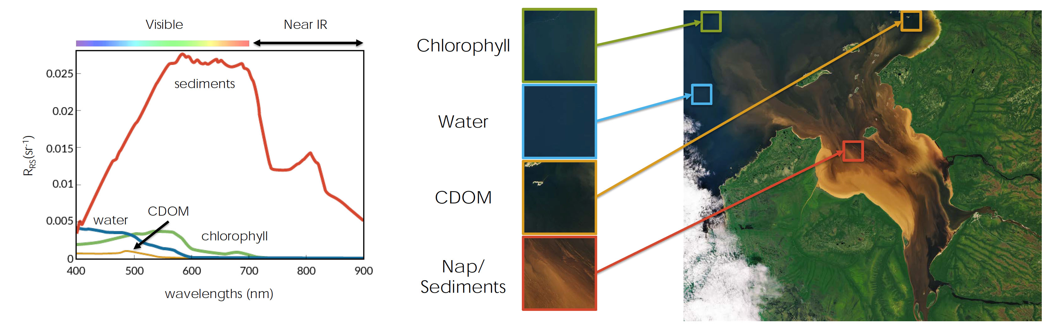 Spectral fingerprints, unique absorption/reflectance patterns at varying wavelengths of the electromagnetic spectrum, of ocean color parameters. Ocean color reflectance can be visualized and a qualitative interpretation made based on color. Generally, chlorophyll appears as green, water as blue, CDOM as black, and sediments/NAP as browns and whites.