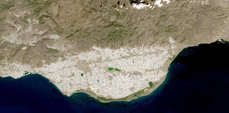 Landsat image of Poniente Almeriense in cloud-free conditions.