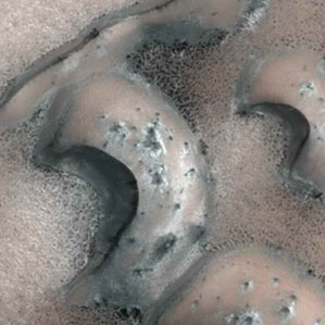Curved barchan dunes and a straight seif dune lie in the north polar region of Mars, where the first significant change to sand dunes was detected in 2008. 