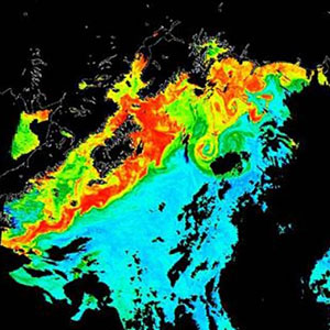 This SeaWiFS image shows a spring phytoplankton (chlorophyll) bloom over the Gulf of Alaska. 