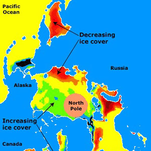 Although sea ice has increased in some regions, the Arctic has witnessed a net decrease in sea ice.