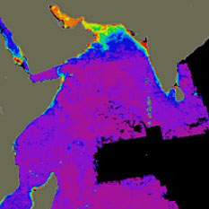 CZCS composite image of the Arabian Sea for April-June 1979, showing low productivity preceding the southwest monsoon