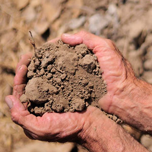 A maize farmer in El Salvador examines his desiccated soil.