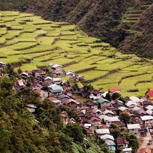 The Yangtze Delta is home to more than eighty million people in an area only a little larger than the state of Indiana. 