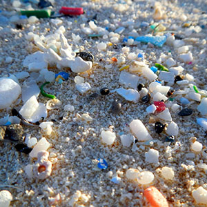 A plastic particle smaller than five millimeters (about a fifth of an inch) is defined as a microplastic, but many microplastics are too small to be seen with the naked eye.