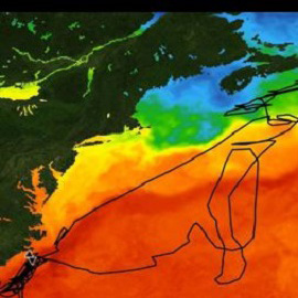 COVERAGE image showing ocean with colors indicating ocean temperatures.