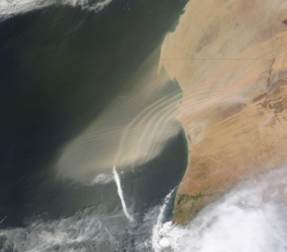 Dust plumes blew off the west coast of Africa and over the Atlantic Ocean in late September 2011. MODIS captured this natural-color image on September 23, 2011. Credit: MODIS Rapid Response Team at NASA GSFC.