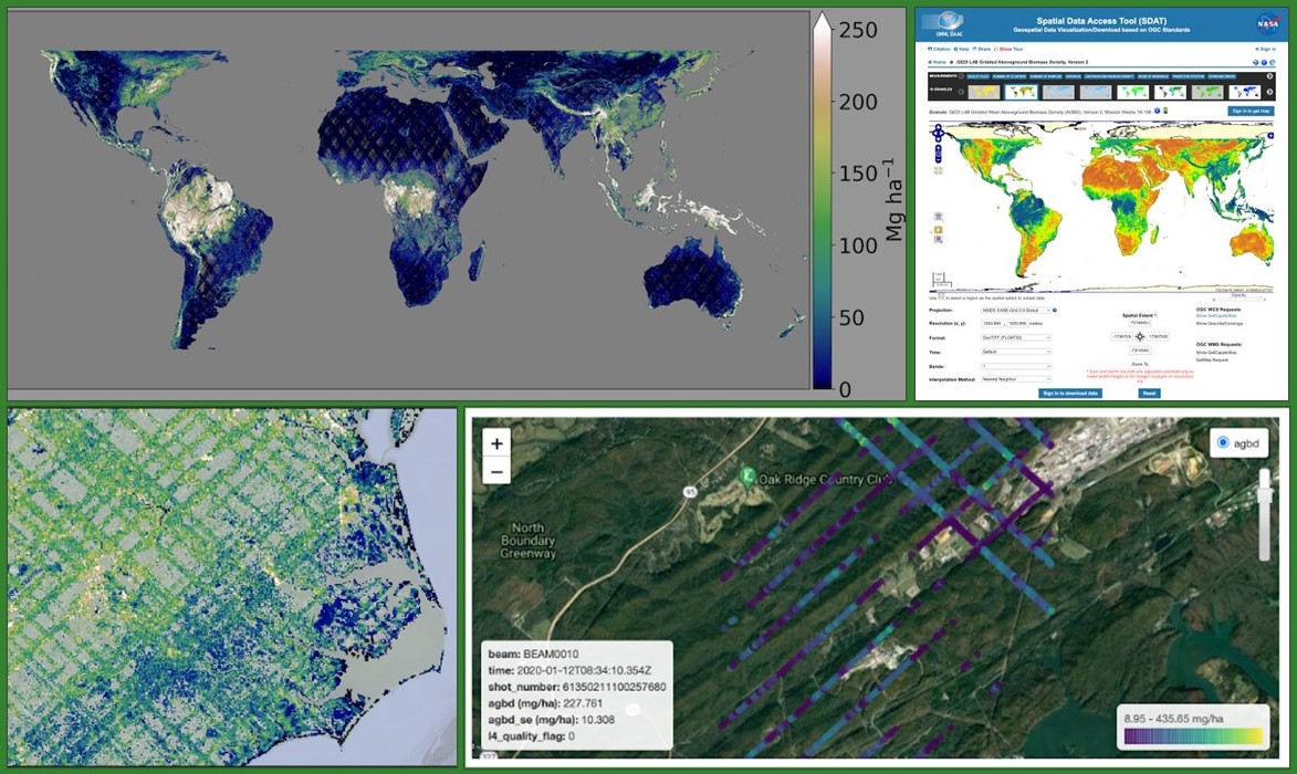 This webinar banner image shows GEDI aboveground biomass data imagery and tool screenshots.