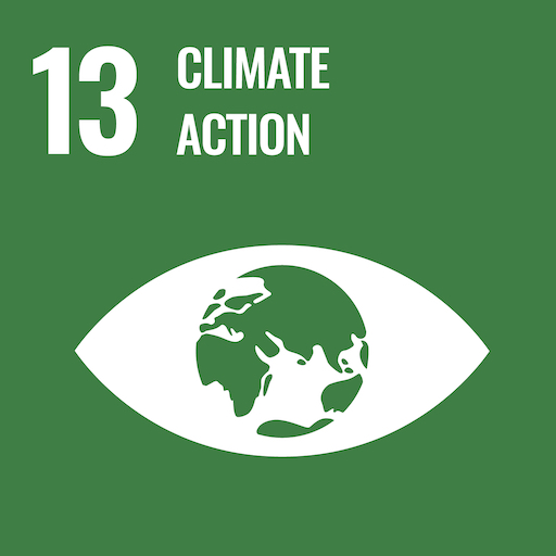 green square with 13 and words climate action
