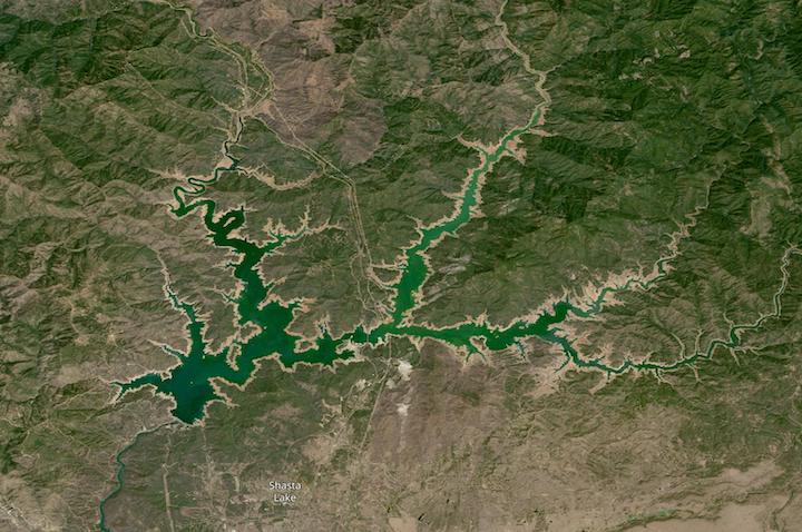 True color Landsat 9 image of Shasta Lake at low capacity, exposing the brown shoreline of the reservoir, on 14 August 2022