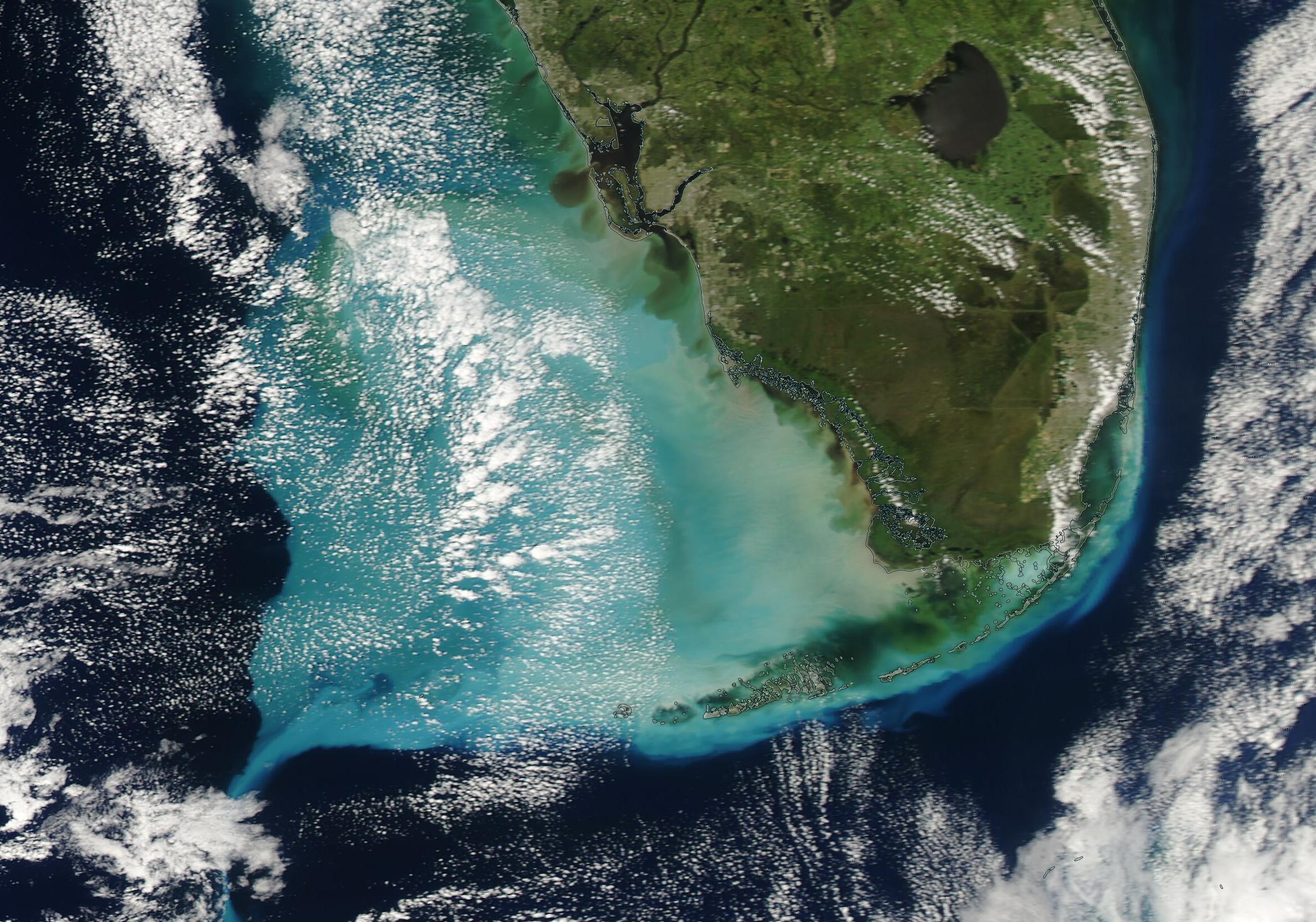Surface reflectance image of sediment off the coast of South Florida on 30 September 2022 from the MODIS instrument aboard the Aqua satellite