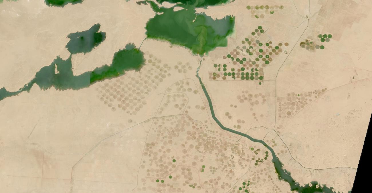 Image of pivot irrigation circles and canals of the New Valley Project in Egypt on 4 November 2022 (Sentinel 2A &B/MSI)