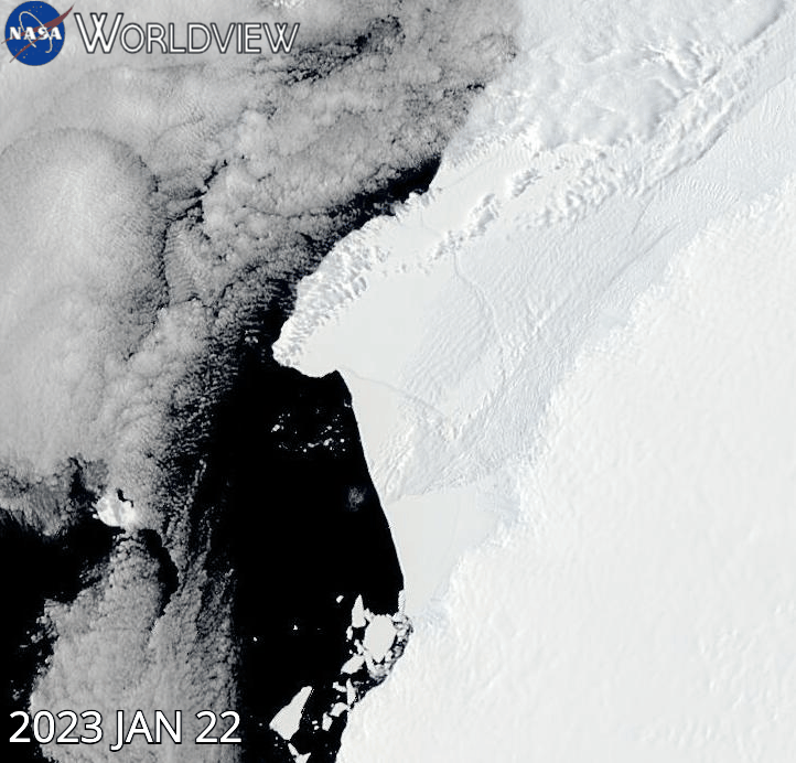 True-color image animation of iceberg A81 calving off the Brunt Ice Shelf, Antarctica on 22 - 29 January 2023 from the MODIS instrument aboard the Aqua satellite 