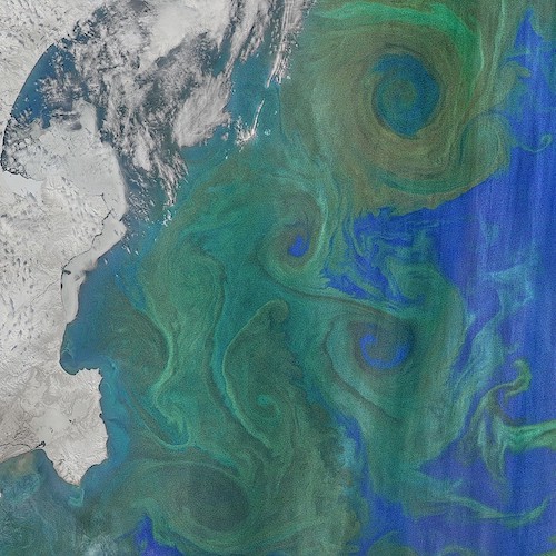 This webinar banner image shows ocean color data from the NASA Terra MODIS instrument off the coast of the Kamchatka Peninsula in the Western Bering Sea.