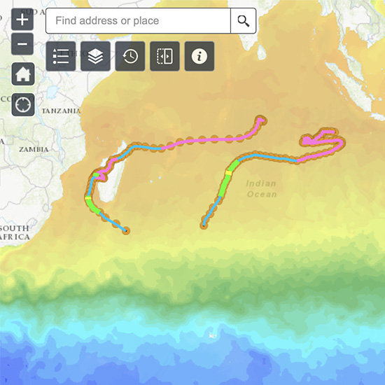 Tropical Storm Web App