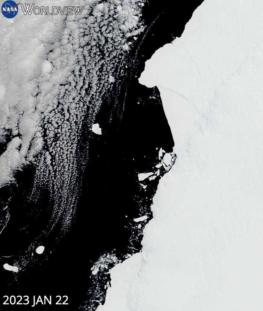 True color corrected reflectance animation of Iceberg A81 drifting away from the Brunt Ice Shelf, Antarctica from 22 Jan to 1 Mar 2023 from the MODIS instrument aboard the Terra satellite