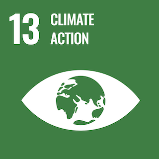 SDG13