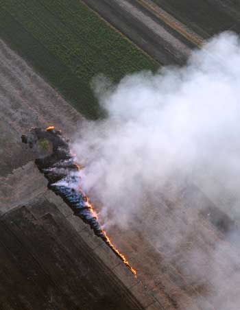 Photograph of smoke produced by agricultural field burning.