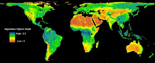 Data image showing the density of trees and plants across the globe