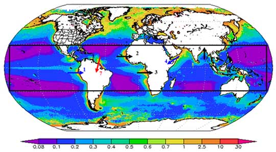 Data image showing global ocean chlorophyll levels