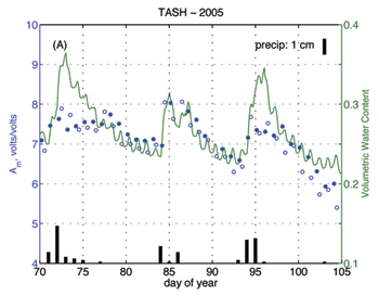 Data image plotting data, rainfall, and soil moisture in Tashkent, Uzbekistan.