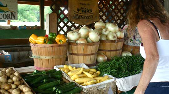 Photograph of a woman shopping at a vegetable market.