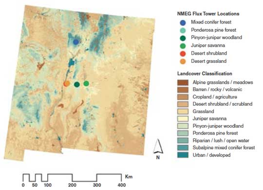 Data map of New Mexico showing the different types of land cover
